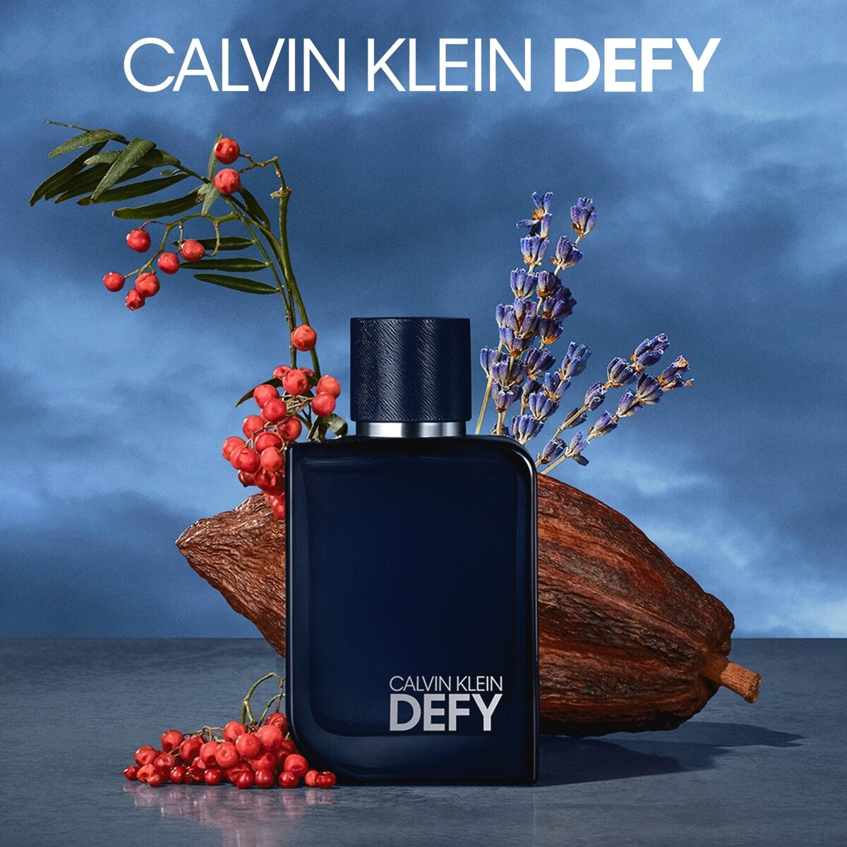 Defy Parfum pour homme