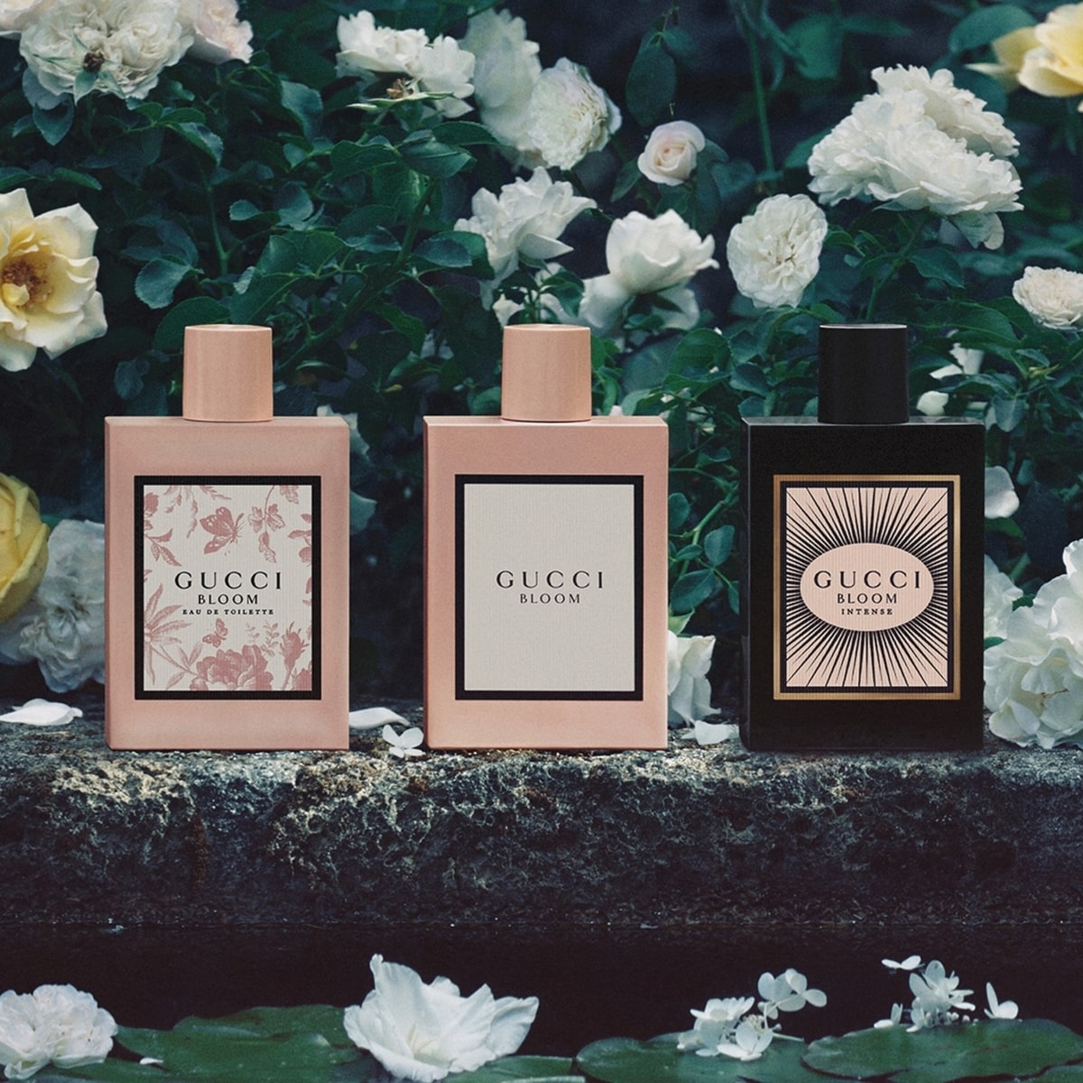Bloom Eau de Parfum Intense pour femme