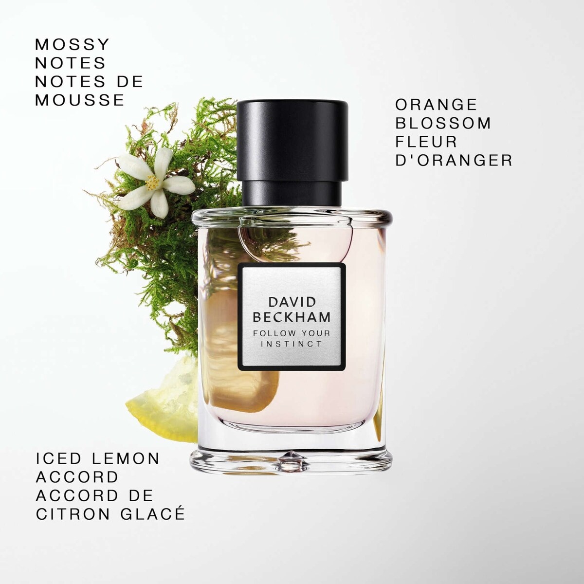 Follow Your Instinct Eau de Parfum pour Homme, parfum David Beckham boisé à la fougère, senteur longue durée, flacon élégant