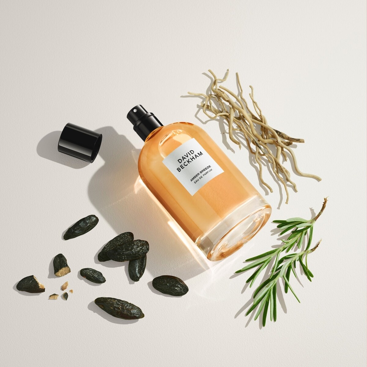 Eau de Parfum pour homme Amber Breeze, fraîche et aromatique, parfum longue tenue
