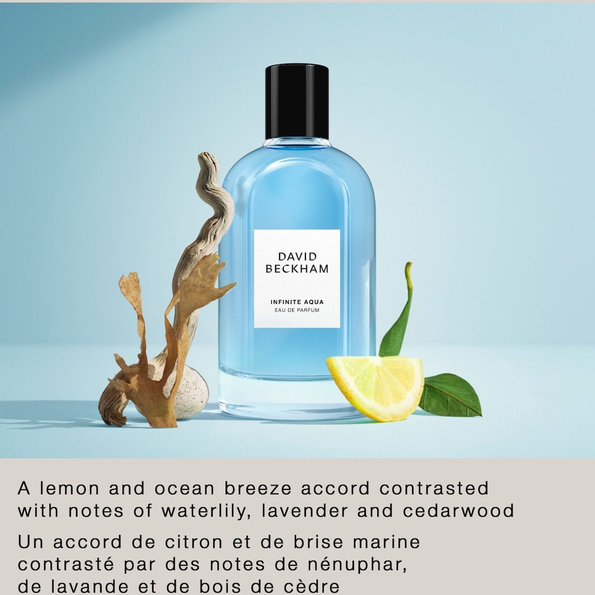 Infinite Aqua Eau de Parfum for Men, Fresh and Aromatic, Long Lasting Fragrance