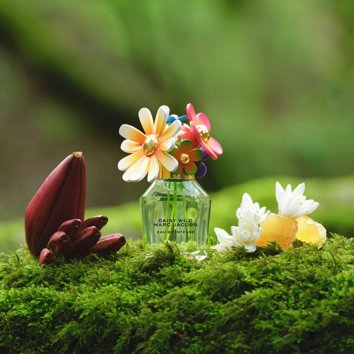 Daisy Wild Eau So Intense de Parfum