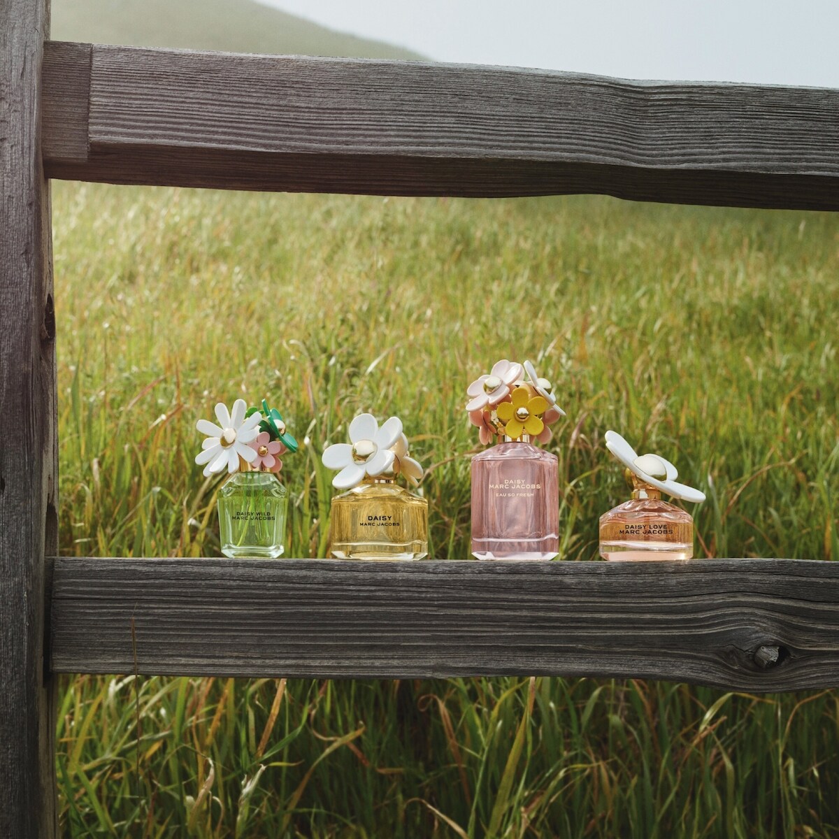 Daisy Wild Eau So Intense de Parfum pour femme