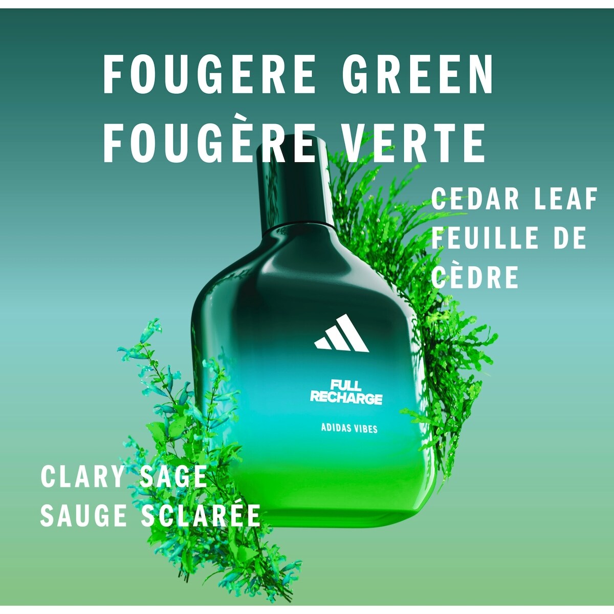 Vibes Full Recharge Eau de Parfum For All, Uplifting and Invigorating , Long Lasting Fragrance, Cedar leaf and Clary Sage