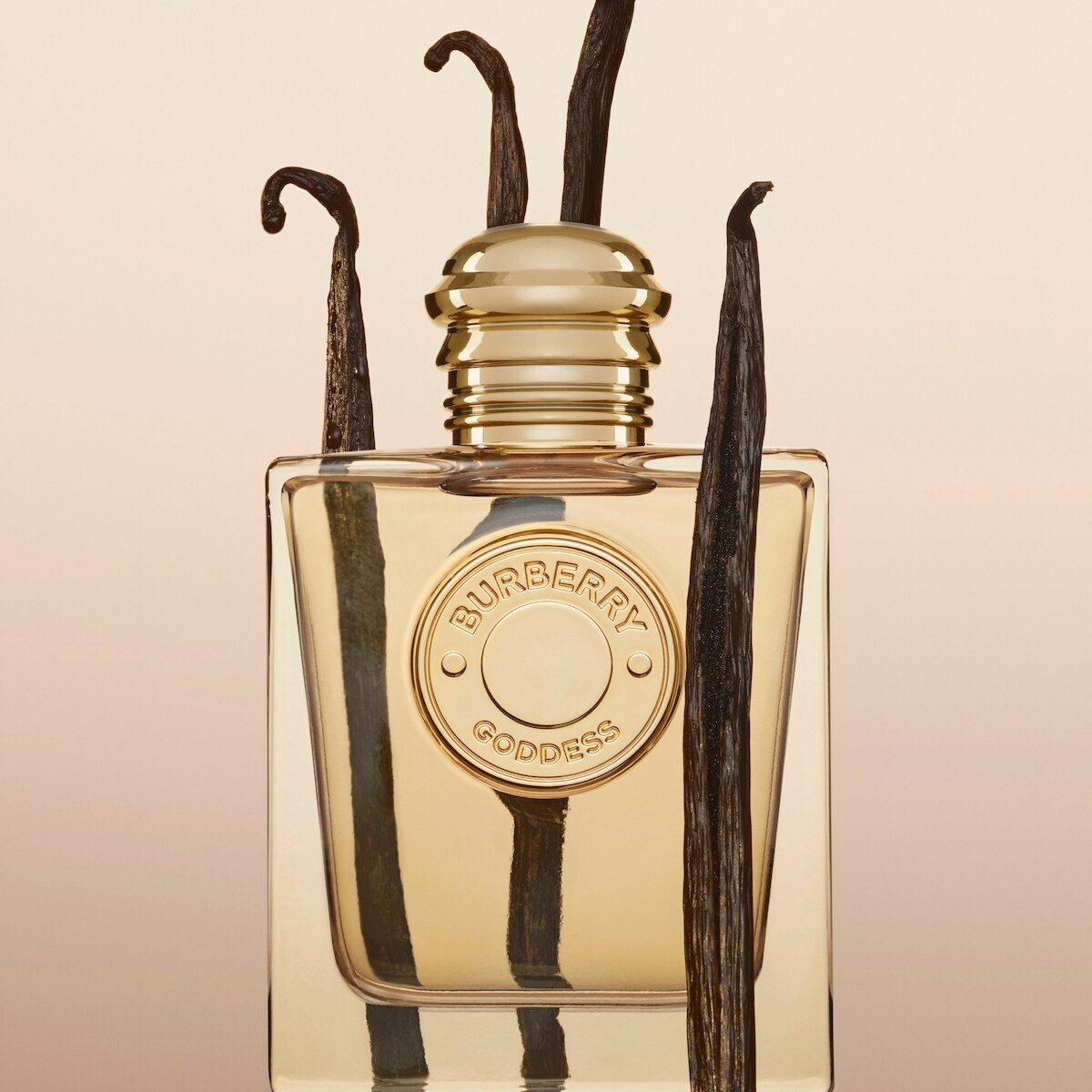 Burberry Women's 2-Pc. Goddess Eau de Parfum Gift Set | Shoppers