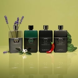 Guilty Essence Pour Homme Eau de Toilette for Men 5
