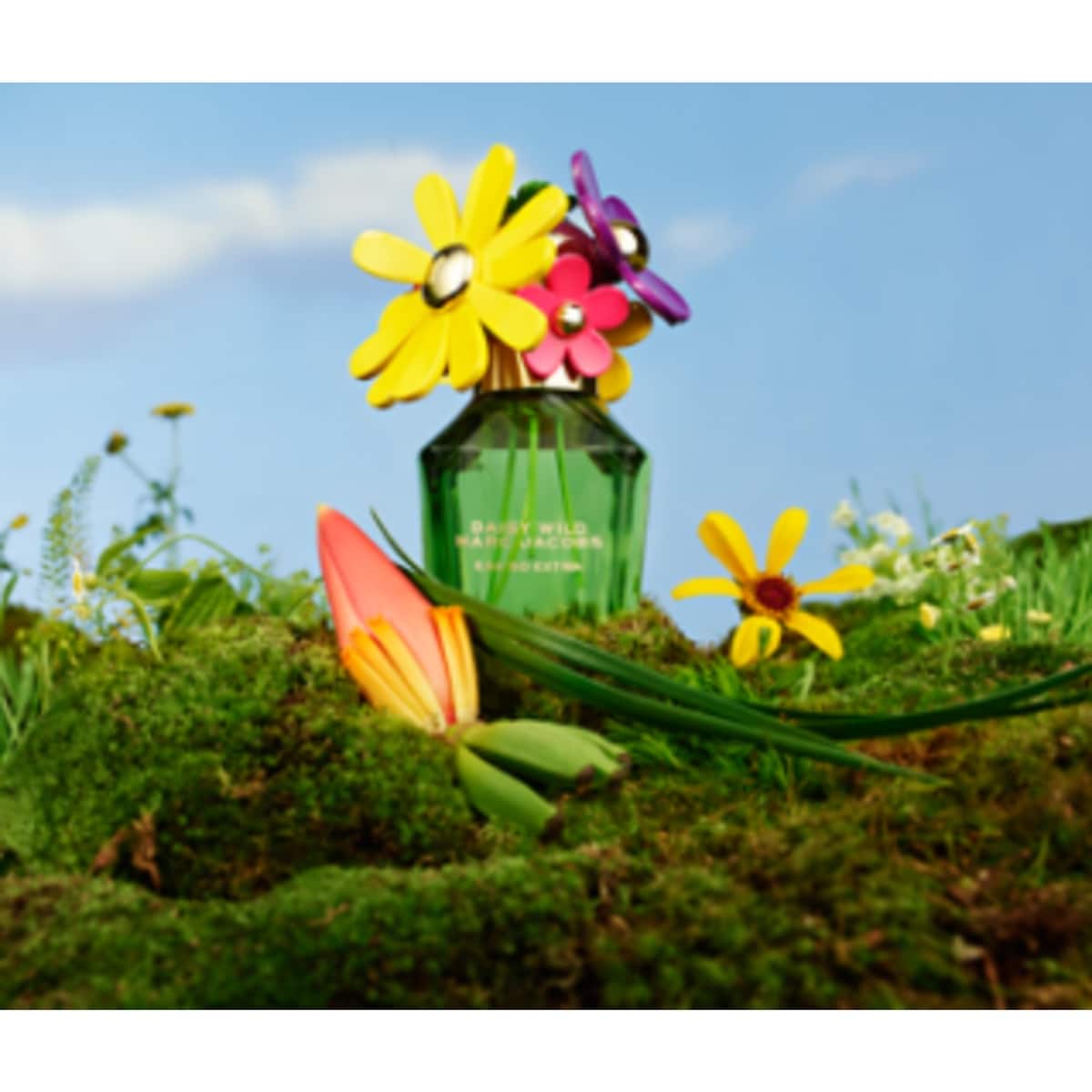 Daisy Wild Eau So Extra Eau de Parfum for Women