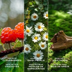 Daisy Love Eau De Toilette for Women Duo Gift Set 3