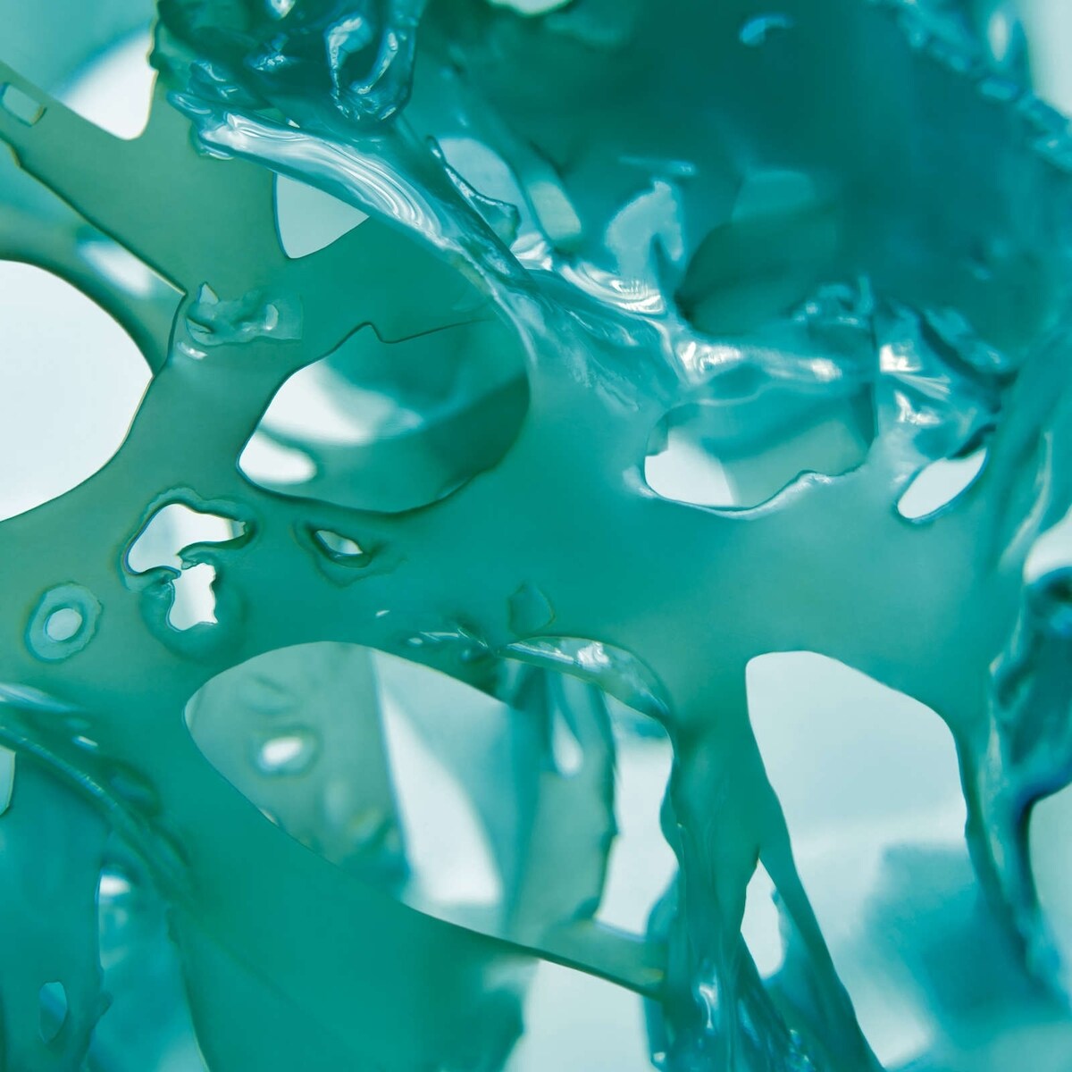 Wild Algae & Sea Fennel Energizing Body Lotion