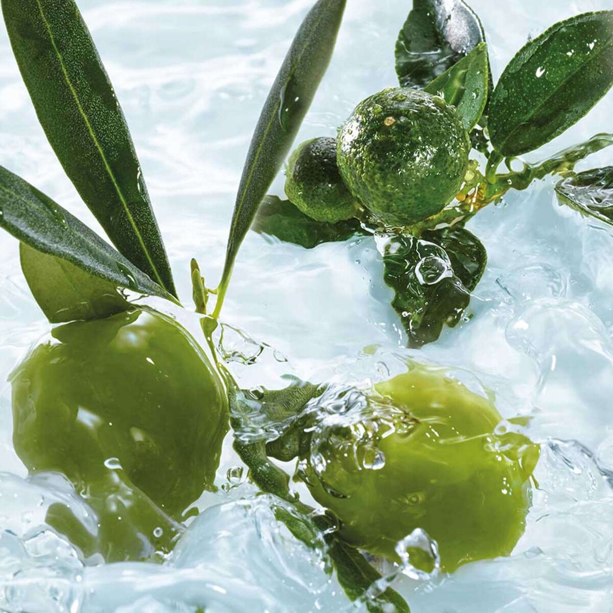 Bain douche relaxant olive & petit grain