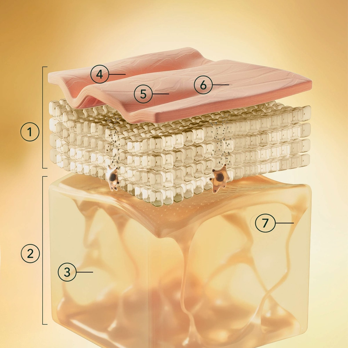 AAG beautifying night cream.