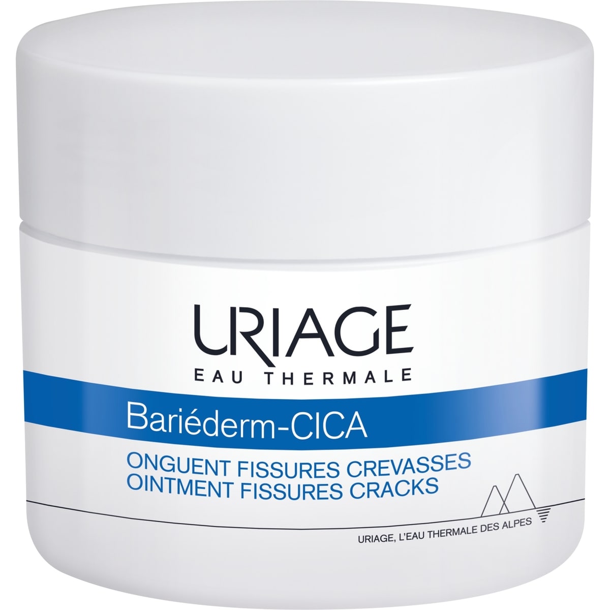 Bariéderm Onguent Fissures Crevasses