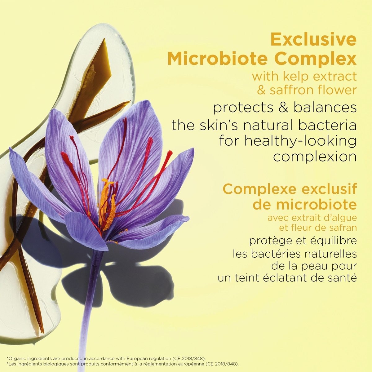 Hydrating Toning Lotion