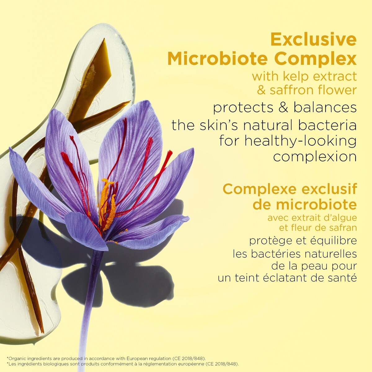 Hydrating Toning Lotion Eco Refill