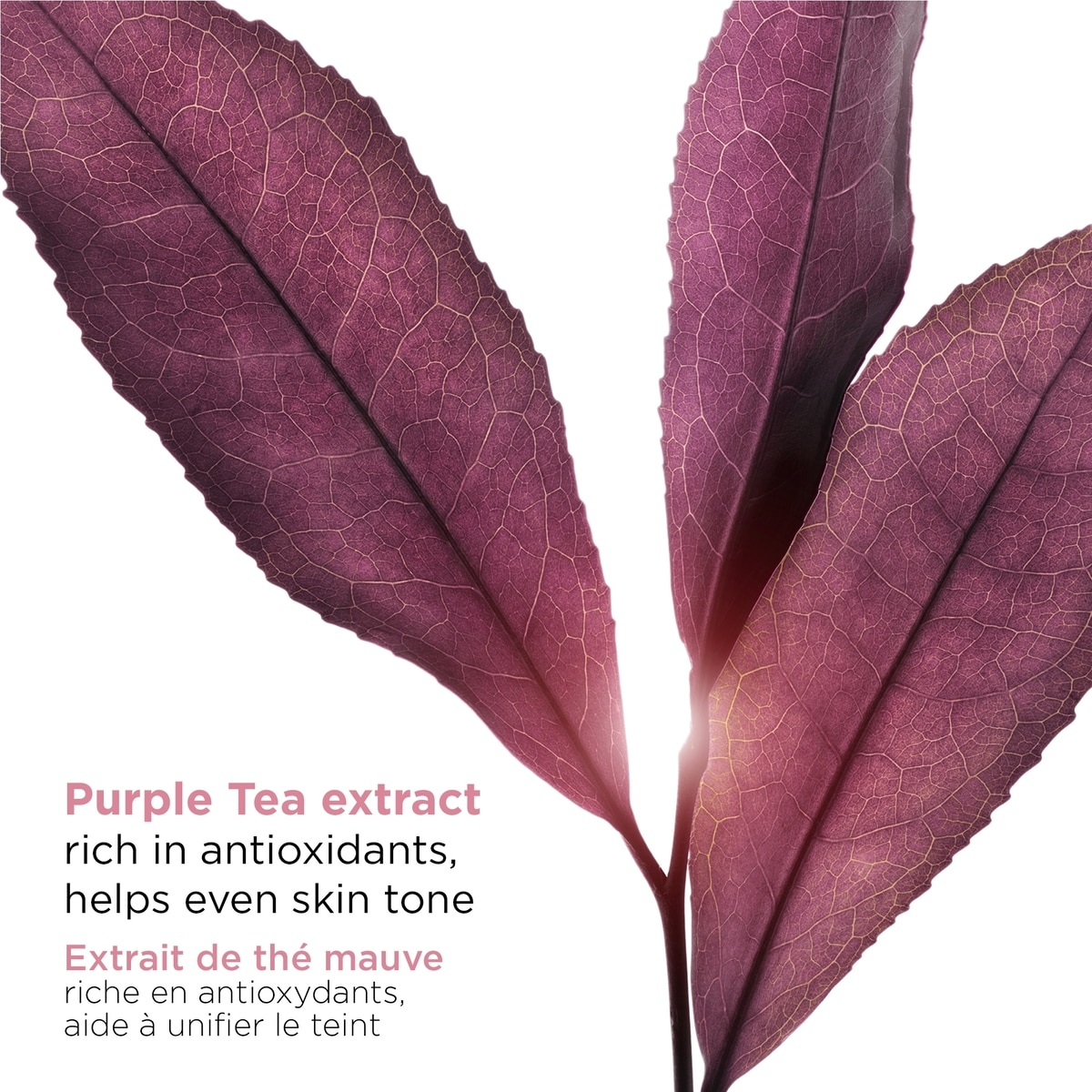 Sérum Bright Plus [Advanced