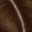 5 MEDIUM BROWN