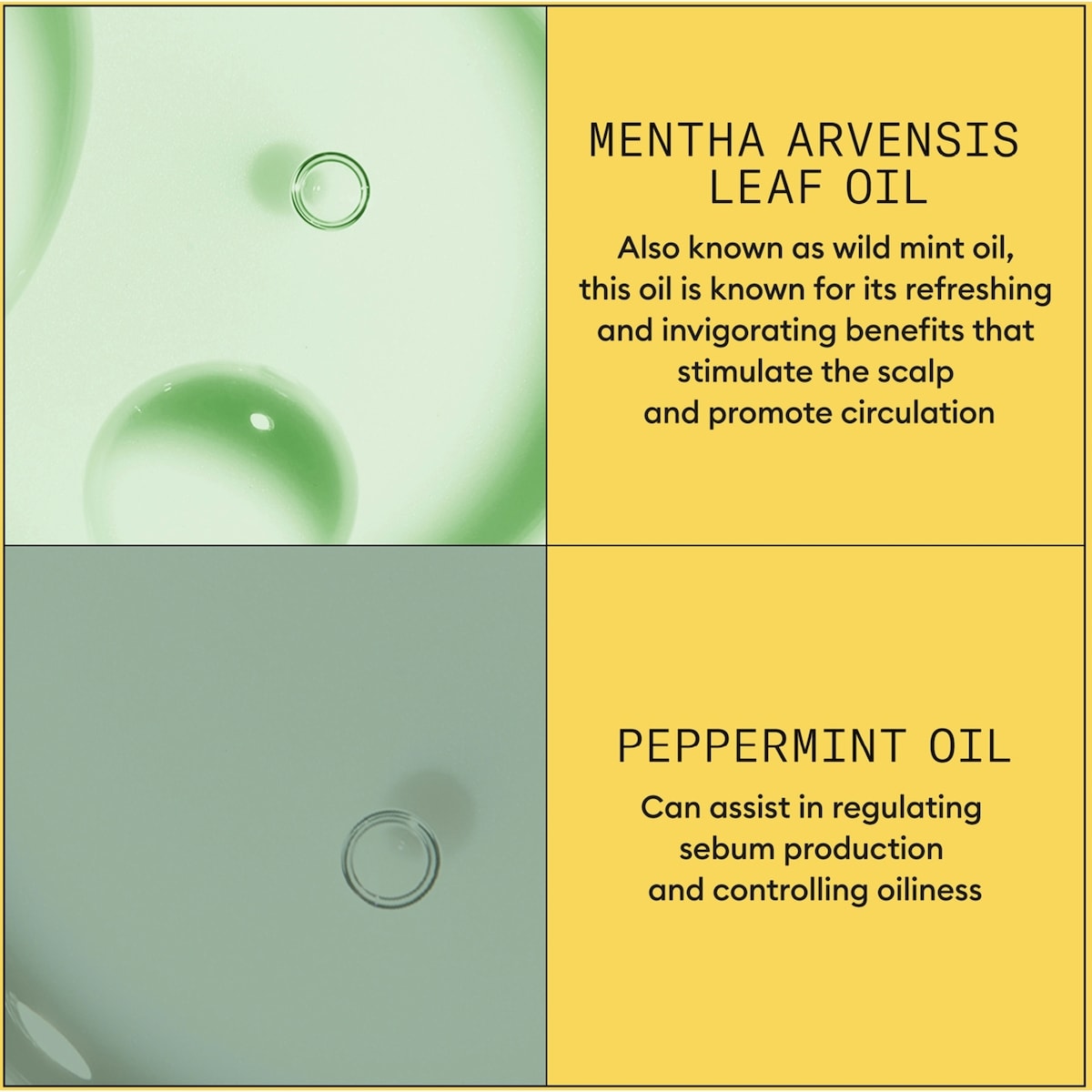 Revitalisant épaississant pour le cuir chevelu et les cheveux Système 1 de Nioxin – naturels clairsemés, 500 mL