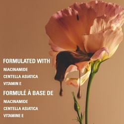 Power Plush Longwear Foundation with Niacinamide, 12-hour wear, lightweight, airbrushed natural finish 6