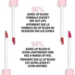 Kit Blush à lèvres + crayon à lèvres, fini mat poudré, ultra-léger, végétalien 5