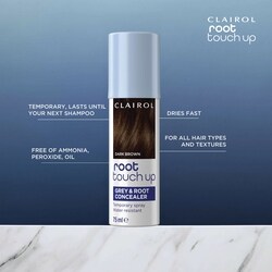 Root Touch Up Gray & Root Concealer Temporary Spray 5