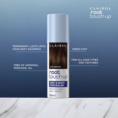 Root Touch Up Gray & Root Concealer Temporary Spray 5