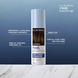 Root Touch Up Gray & Root Concealer Temporary Spray 5