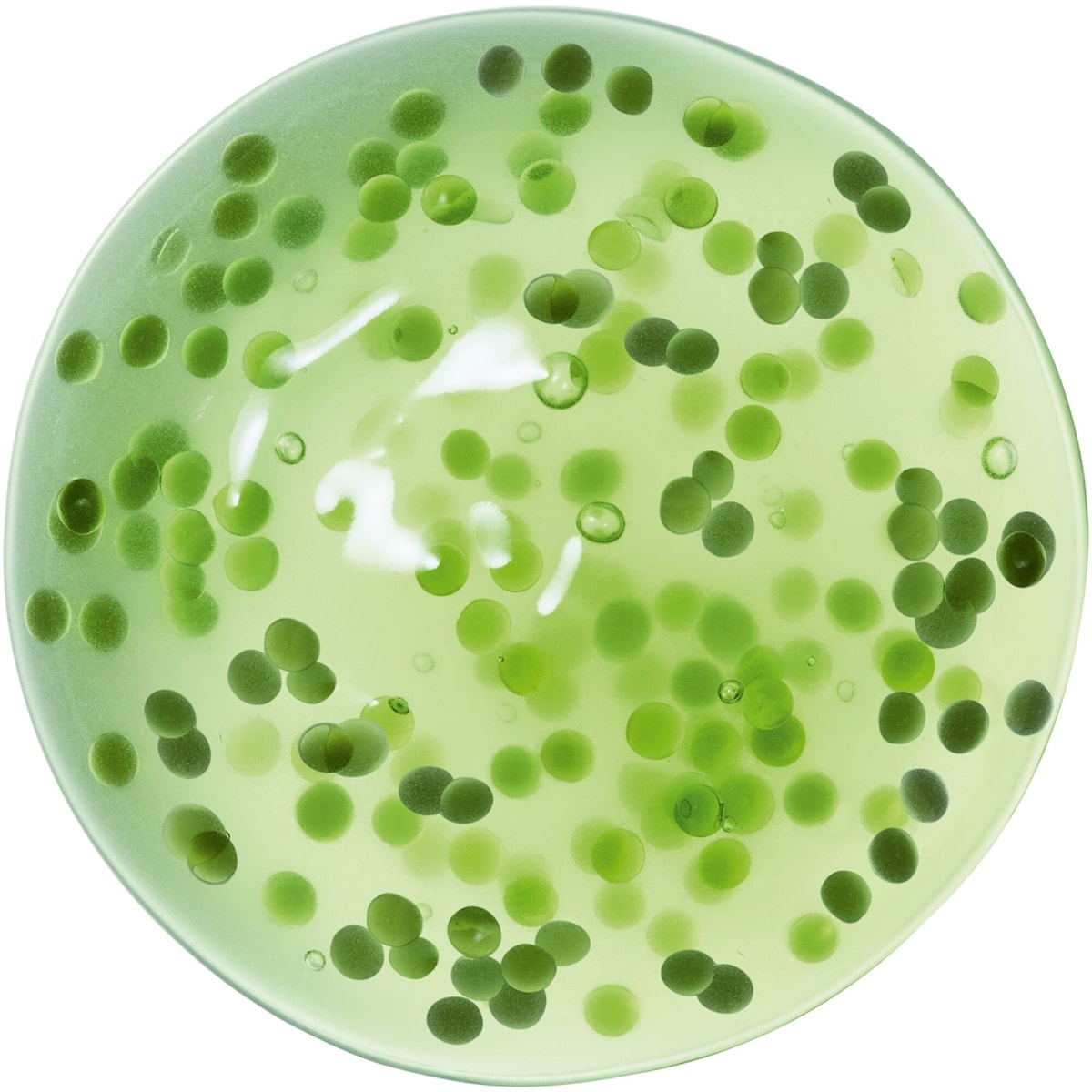 Crema Nera Reviscentalis Meta Concentrate Serum