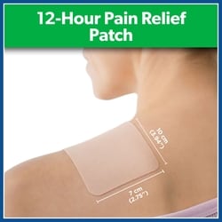 Salonpas 12 Hour Pain Relief Patch 2