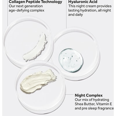 Protect & Perfect Fragrance Free Night Cream 4