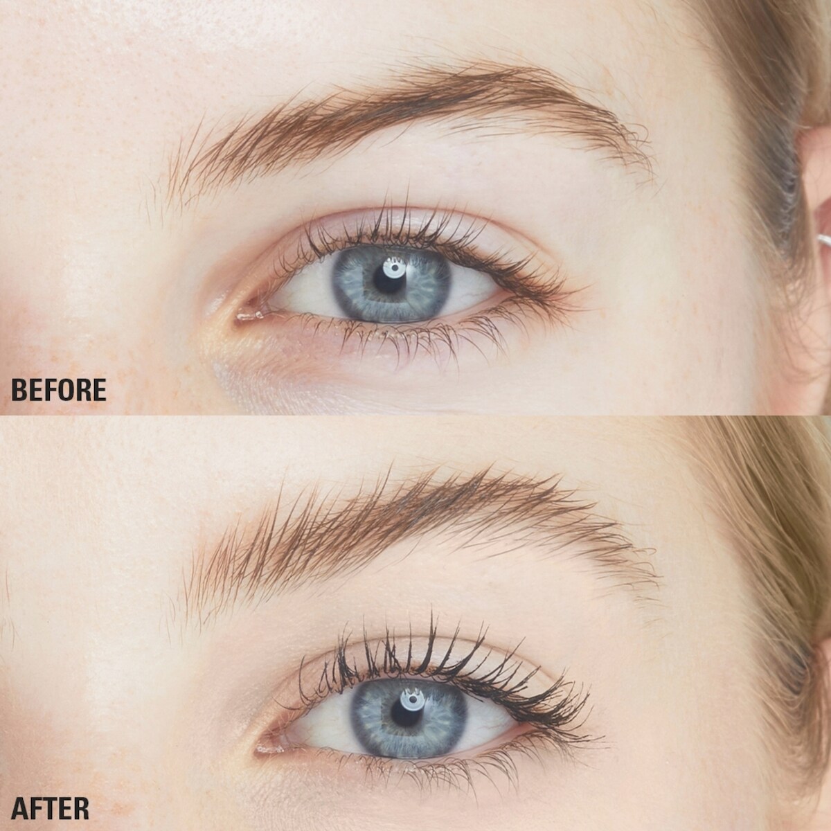 Duo de filtres à sourcils moelleux