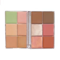 Everything Base Face Icon Complexion Palette Light 4
