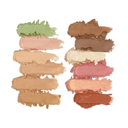 Everything Base Face Icon Complexion Palette Light 6