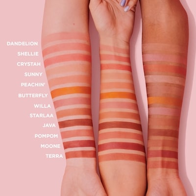 Dandelion baby-pink brightening blush (Mini) 5