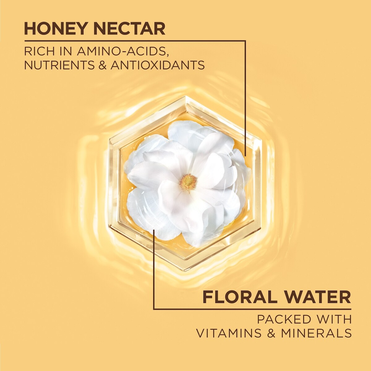 Whole Blends Honey Water Moisture Restoring Conditioner