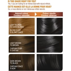 Belle Color Permanent Hair Dye, 100% Grey Coverage, Enriched with Argan Oil and Wheat Germ Oils - 1 Application 6