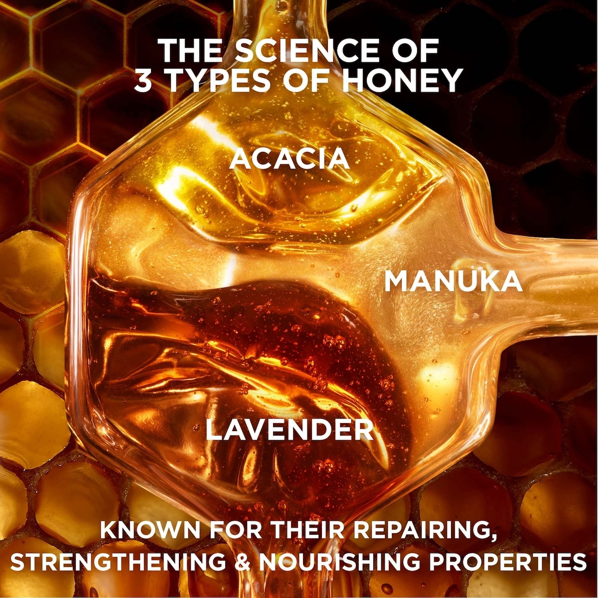 Whole Blends Honey Treasures Revitalisant Réparateur