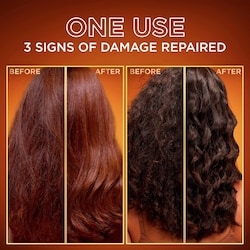 Whole Blends Honey Treasures Repairing Conditioner, for Damaged and Dry Hair 3
