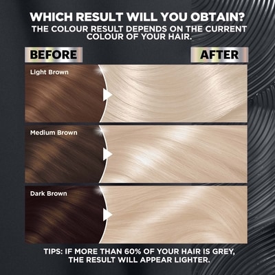Garnier Ultra Color Hair Bleach PL2 Ultra Light Platinum – Permanent Hair Color Lifts Up to 8 Levels, Nourishing Formula, 1 Kit 3