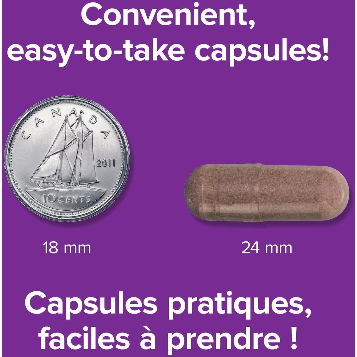 Bleuet Concentré 36:1 500 mg