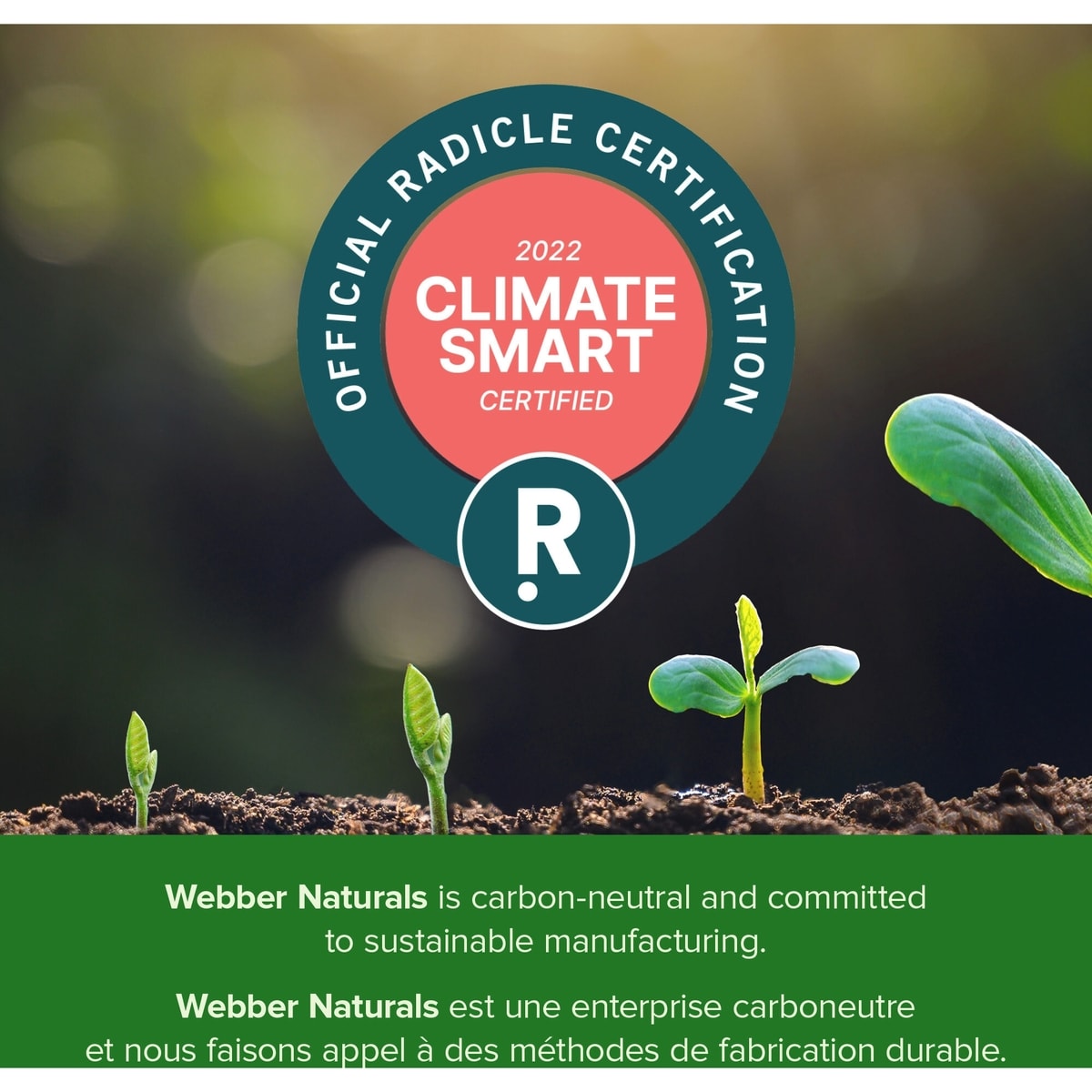 Ashwagandha Gélifiés  baies