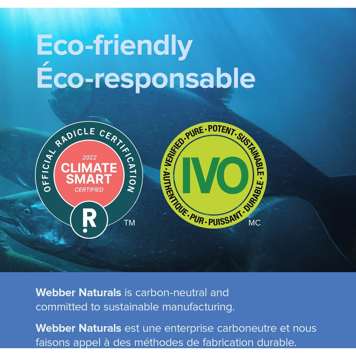 Oméga 3-6-9 Poisson