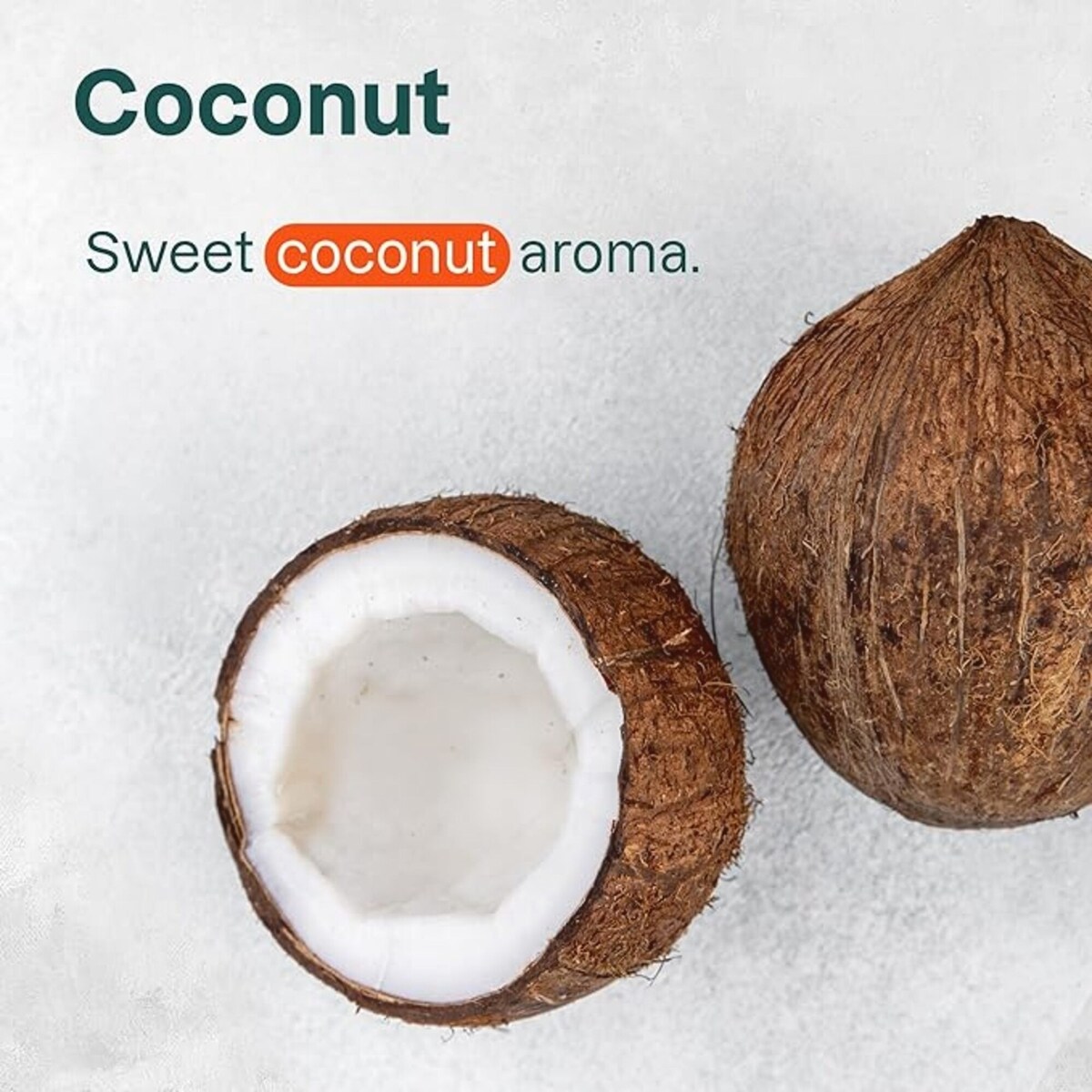 Baume à Lèvres - FPS 15 - Noix de Coco