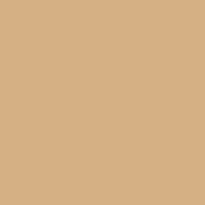 Easy and Rich Brow Pencil 6