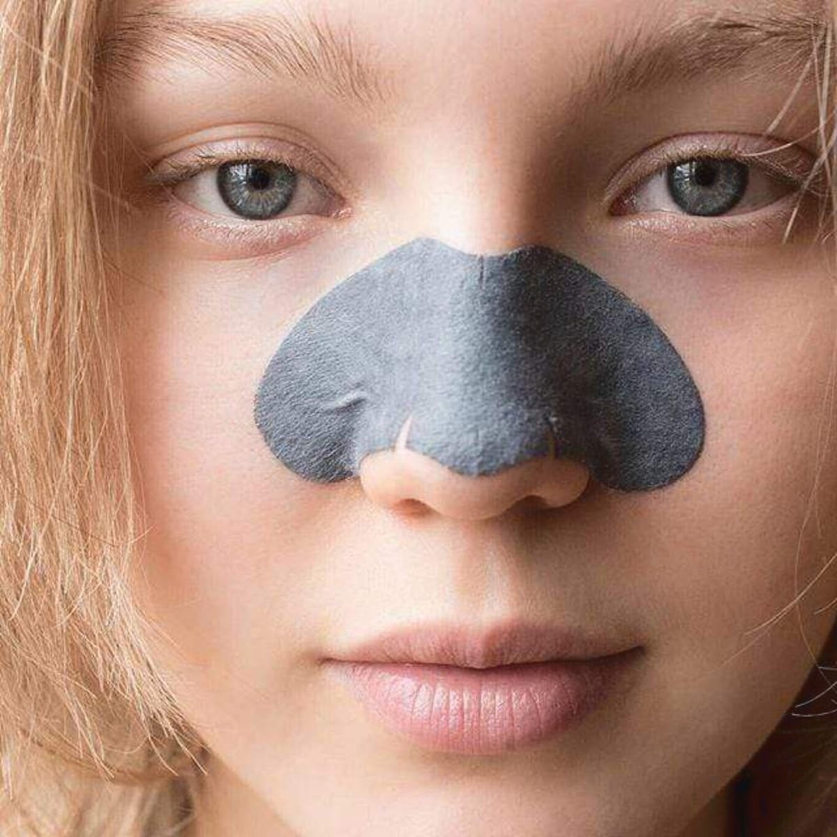 Charcoal Nose Strips