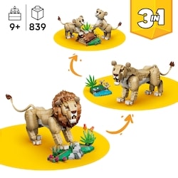 Creator 3 in 1 Wild Animals: Majestic Lion 31386 2