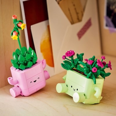 Botanicals Rocking Plants 11506 3