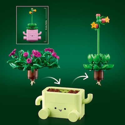 Botanicals Rocking Plants 11506 4