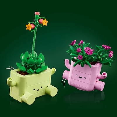 Botanicals Rocking Plants 11506 5