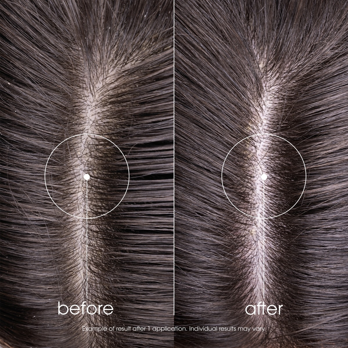 Purifying Shampoo with Citrus Pulp - Normal to Oily Hair - Purifying