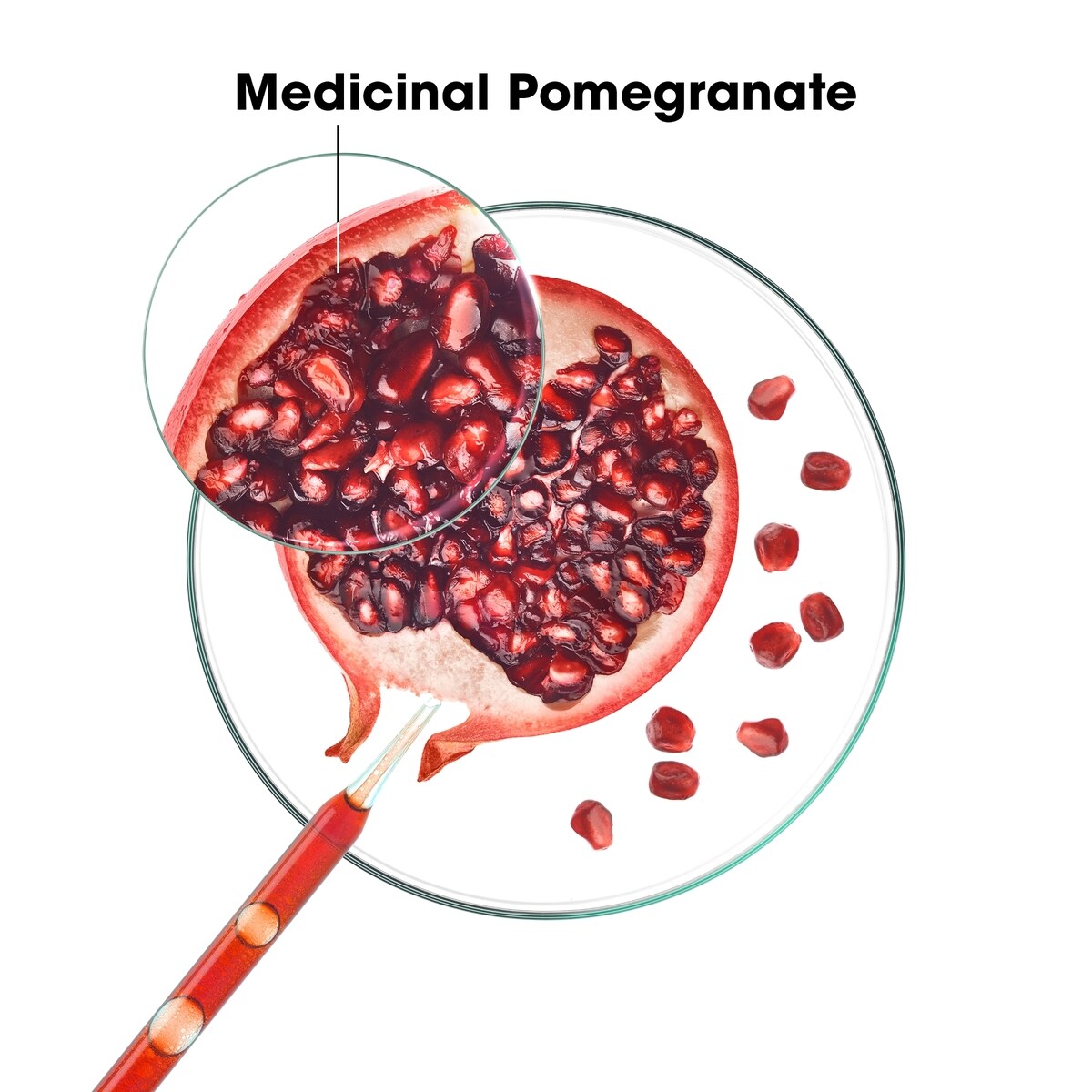 Revitalisant à la Quinine & Edelweiss BIO  - Fortifiant pour les cheveux clairsemés
